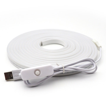 5V USB LED Neon Light with 501 Button Switch Strip