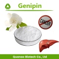 Anti-Krebs-Gardenie-Furit-Extrakt Genipin 98% Pulver