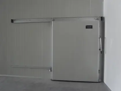 Cold storage electric sliding door
