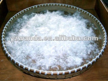 Wash white duck down manufactory in China