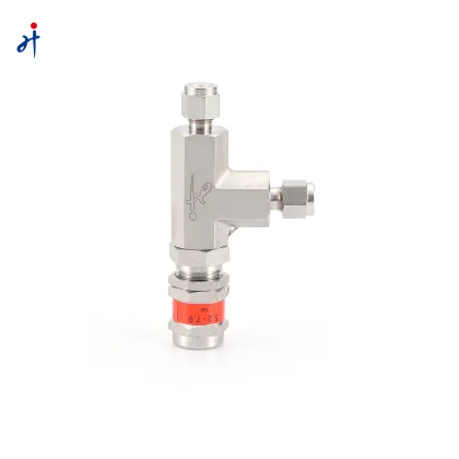 High Pressure Stainless Steel Swagelok Proportional Relief Safety Valve (SS316)