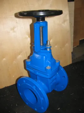 Rising Stem Water Gate Valve
