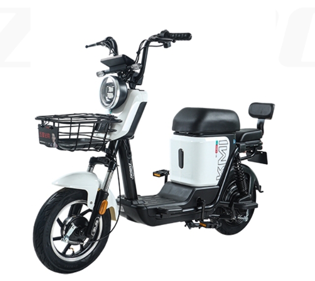 48V 20AH KlMsecond Generation