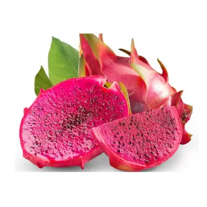Dragon fruit powder recipes