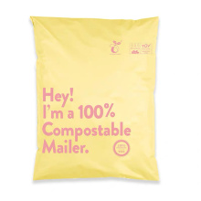 Eco-friendly Kraft Paper bags for Clothing Packaging