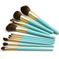 10pc itace rike makeup Brush Set