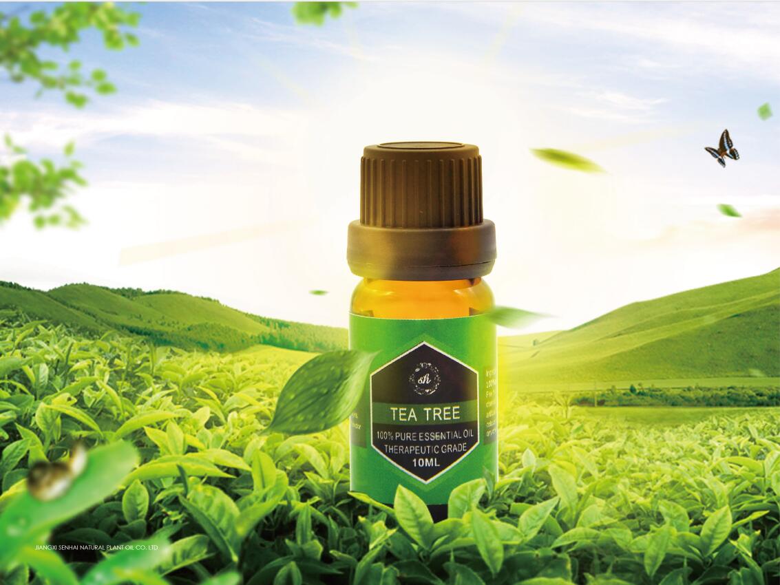 tea tree oil