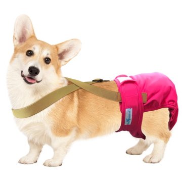 Dog Diaper Keep Male Dog Wraps Female Diapers