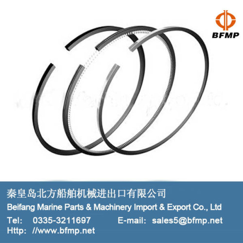 Piston and piston ring of diesel engine