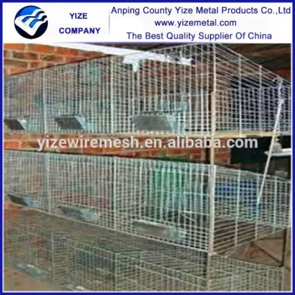 rabbit breeding for rabbit cage mesh