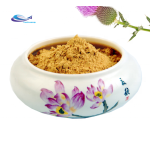 silybum marianum milk thistle extract silymarin 40%