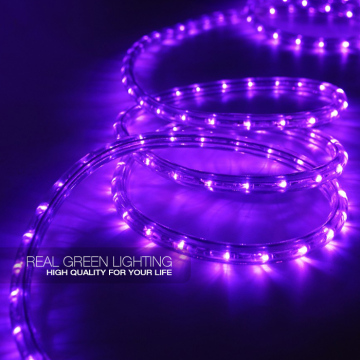Wholesale Round 2-Wires 24V Purple LED Rope Light