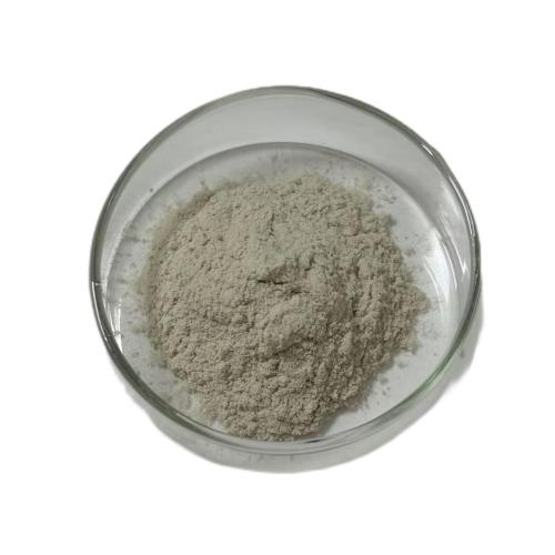 Microbial Rennet for cheese Kluyveromyces lactis rennet