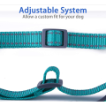 Breathable Soft Air Mesh Dog Abness