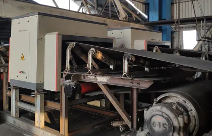 Online Chemical Elemental Analyzer on Conveyor Belt