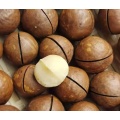 آجیل ماکادمیا طبیعی خام ترک خورده در پوسته