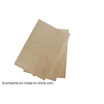 C/D Grade Linyi City White Birch Plywood Timber