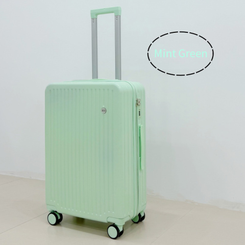 Konfor ve İşlevsellik İçin Tasarlanmış Zarif Bagaj