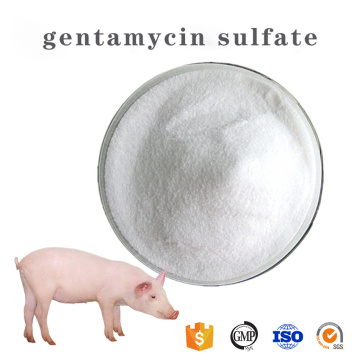 Active ingredients gentamycin sulfate powder