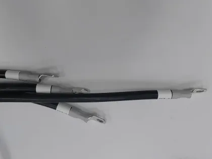 Custom Black Thick Charging Pile Wiring Harness