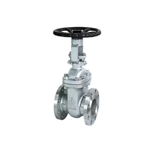 Wedge Gate Valve API 600