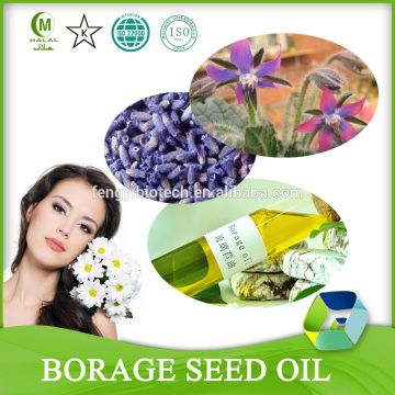 HALAL Factory Supply Borage Seeds Extract/Borage Oil/Borage Seed Essential Oil