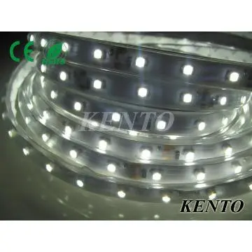 12volt  SMD5050 Flexible White Led Strip Lights,30pcs/meter
