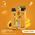 Gunnpod 26 Flavors 2000 Puflar Tek Kullanımlık Vape Kalem