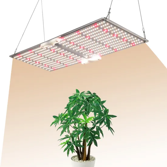 240W G2000 Full Spectrum LED Grow Light with Dimmer Knob