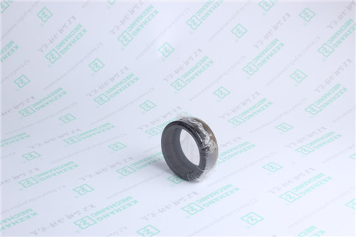 5m 7294 O Rings and Seals