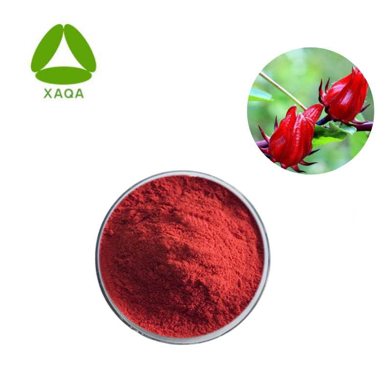 Hibiscus sabdariffa extract