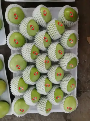 Good Looking Green Apple