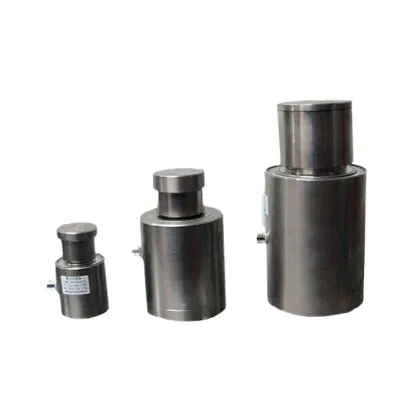 Sartorius Load Cell 100kg