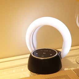 Moon Bay Bluetooth Speaker Light