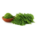 Herbal extract moringa leaf extract