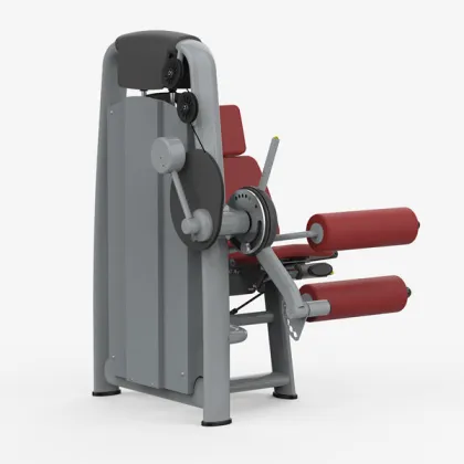 Seated Leg Curl Machine
