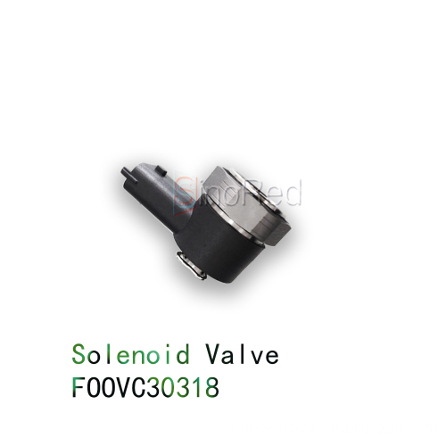 Durability Centered Solenoid Valve: A Comprehensive Guide to F00VC30318 for Common Rail Injector Models 0445110343-0445110348