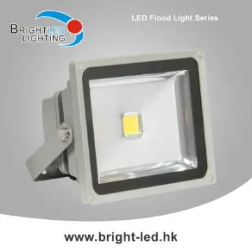 LED Flood Light COB30W  24V