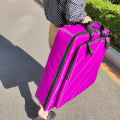 Durable Travelling Crystal Harp Backpack