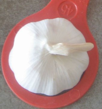 chinese normal white garlic