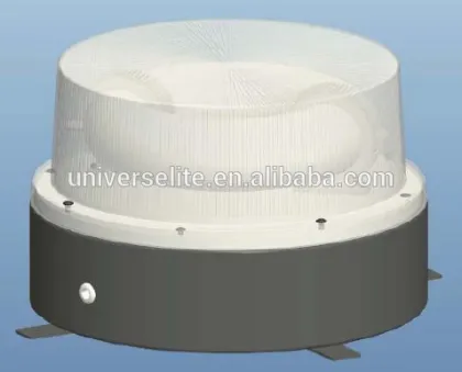 Induction Lamp Canopy Light