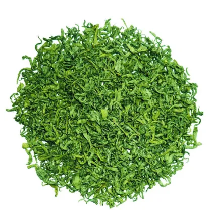 China Green Tea for The World