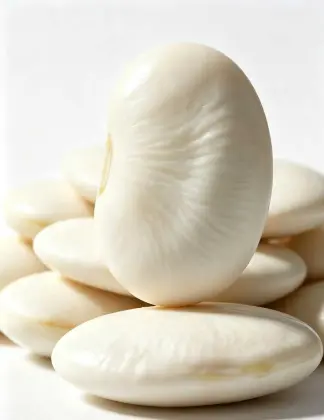 Organic Bulk Dried White Kidney Beans