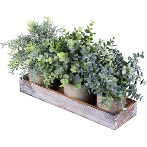 Conjunto de 3 mini plantas de eucalipto artificial em vasos