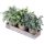 Conjunto de 3 plantas de eucalipto artificiales mini en macetas