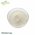 Rhizobium spp. Nitrogen Fixing Biofertilizer for Legumes