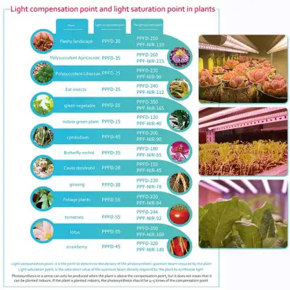 BBIER Original HPS Fluence LED Grow Light - Kingbright LED Grow Light