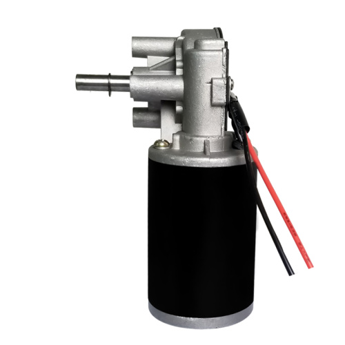Worm Gear Motor | 60 rpm DC Motor | 24 Volt DC Gear Motor