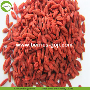 Factory Supply Fruits Nueva llegada Bayas Goji Berry