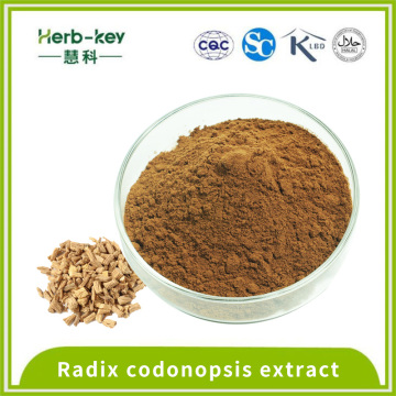 Solid drink codonopsis powder contains 5% saponin